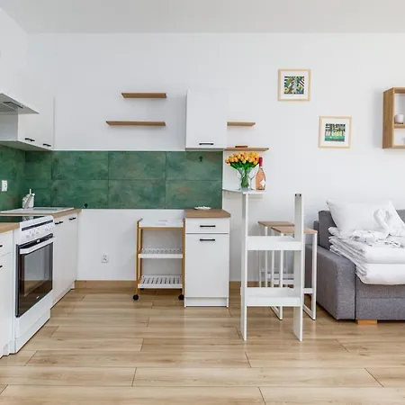 Plac Slowianski Studio Apartment